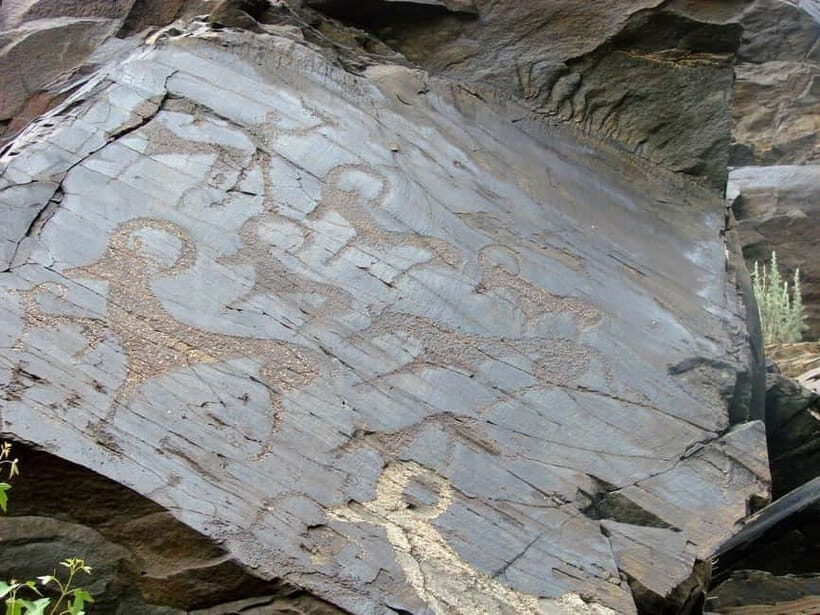 Undiscovered Uzbekistan - Hayat Village Tour from Samarkand - Participating in Local Life