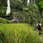 UNESCO Sites Cultural Walking Tour in Bali - An In-Depth Look at the UNESCO Sites Cultural Walking Tour