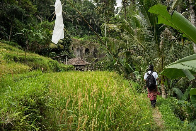 UNESCO Sites Cultural Walking Tour in Bali - An In-Depth Look at the UNESCO Sites Cultural Walking Tour