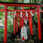 Unique Shinto Experience at Sexual Well-Being Shrine in Kawasaki - Discovering Kawasaki’s Sexual Well-Being Shrine: A Deep Dive
