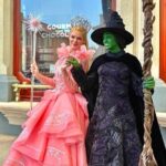 Universal Studios Japan Transfer to or from Osaka English Driver - Why This Transfer Adds Value to Your Osaka Visit