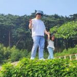 Untold Stories of Koreas Spiritual Jewel at Tongdosa - Detailed Itinerary Breakdown