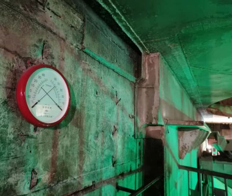 Unveiling Chongqing's Subterranean Wonders - Who Is This Tour For?
