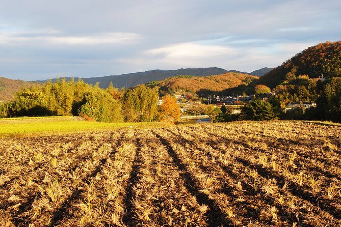 URA*KOBE Japans Rural History and Hiking - The Sum Up