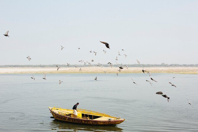 Varanasi Highlights. 1 Day Tour - Final Thoughts: Is This Tour Worth It?