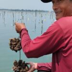 Vietnam/Lang Co Oyster Tour by Fishing & Tasting Oyster Flavors - What Makes This Tour Stand Out?