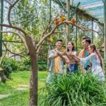 Vietnam: Vinwonders Nam Hoi An Theme Park - Final Thoughts
