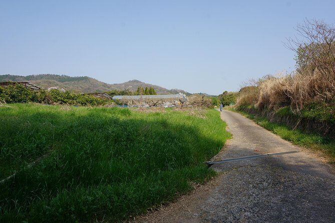 Village to village walk: Japan's oldest road, Yamanobe ancient trail (Private) - Final Thoughts: Who Will Love This Tour?