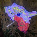 VIP Private Tour To Cu Chi Tunnels and Mekong delta - Who Is This Tour Best For?