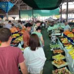 Visit market and have a special dish at local's home - Why This Tour is a Great Choice