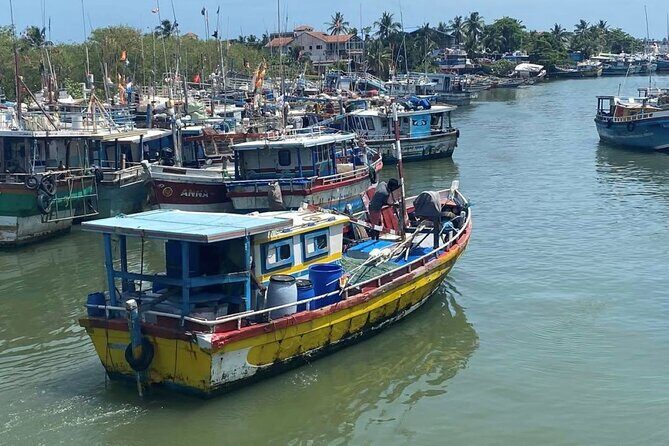 Visit Negombo by Scooty - All Inclusive - A Deep Dive Into the Negombo Scooty Tour