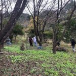 Visiting Beekeeper and Beeswax Craft Making in Bungoono City - What to Expect During Your Visit