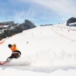 Vivaldi Park Winter Ski Resort with Nami Island Tour from Seoul - Detailed Review of the Tour Experience