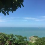 Vung Tau Beach full day tour from Ho Chi Minh City - An In-Depth Look at the Vung Tau Beach Full-Day Tour