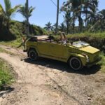 VW Safari,Bayan Ancient Tree,Jatiluwih,Wanagiri,Banyumala Twin Waterfalls - Possible Drawbacks and Considerations