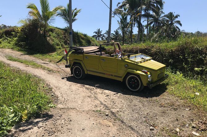 VW Safari,Bayan Ancient Tree,Jatiluwih,Wanagiri,Banyumala Twin Waterfalls - Possible Drawbacks and Considerations