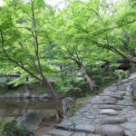 Wakayama: Castle Park Guided Walking Tour with Matcha - Explore Wakayama Castle Park: An Authentic Cultural Walk
