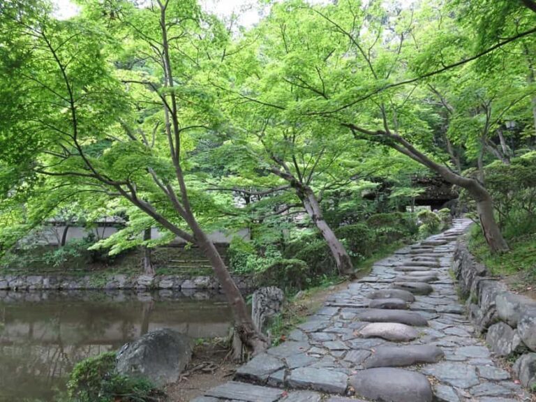 Wakayama: Castle Park Guided Walking Tour with Matcha - Explore Wakayama Castle Park: An Authentic Cultural Walk