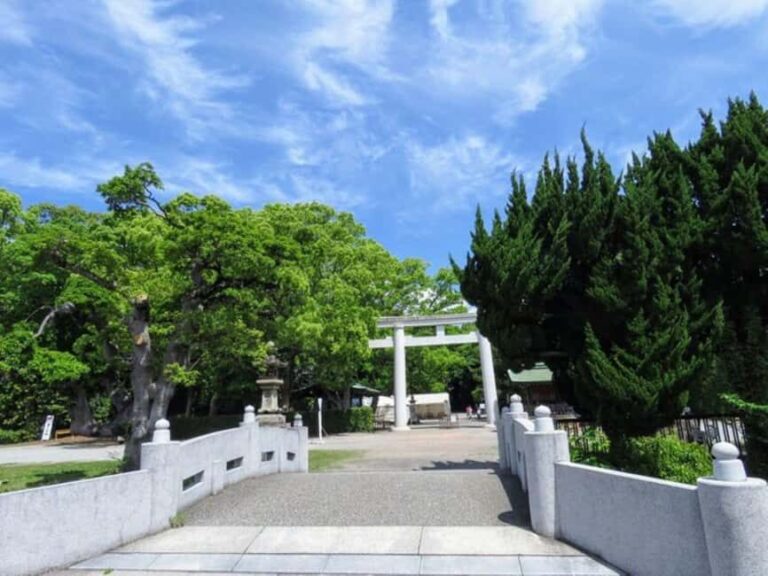 Wakayama: Cat Stationmasters and Local Myths, Train Tour - Exploring Wakayama’s Hidden Charm on a Train