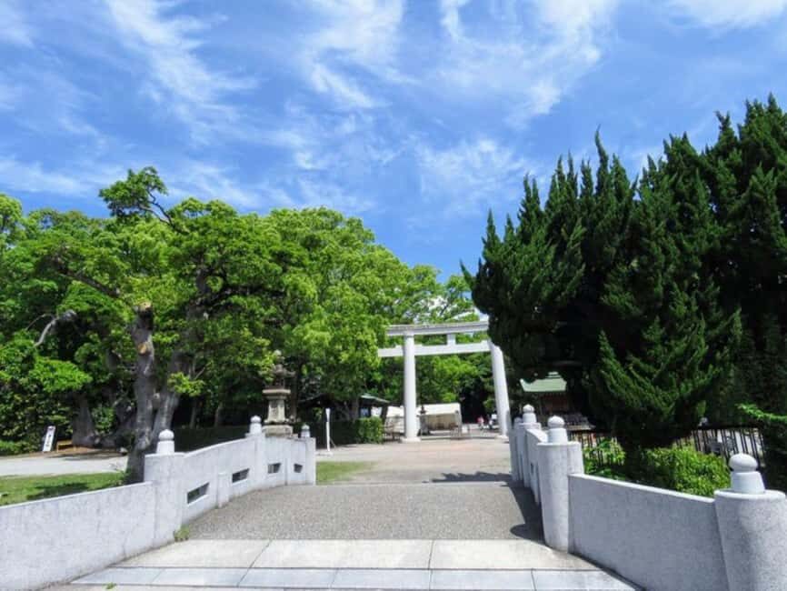 Wakayama: Cat Stationmasters and Local Myths, Train Tour - Exploring Wakayama’s Hidden Charm on a Train