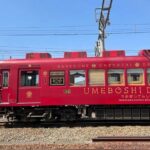 Wakayama Cute Cat and Outlet Shopping Day Tour - Final Thoughts