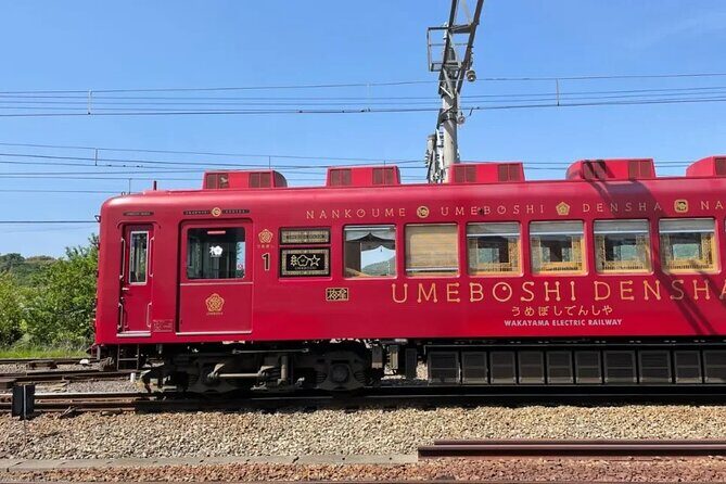 Wakayama Cute Cat and Outlet Shopping Day Tour - Final Thoughts