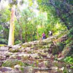 Wakayama: Sacred Journey to Kumano Hayatama and Kamikura - Final Thoughts