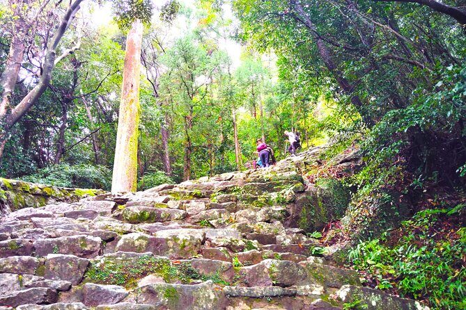 Wakayama: Sacred Journey to Kumano Hayatama and Kamikura - Final Thoughts