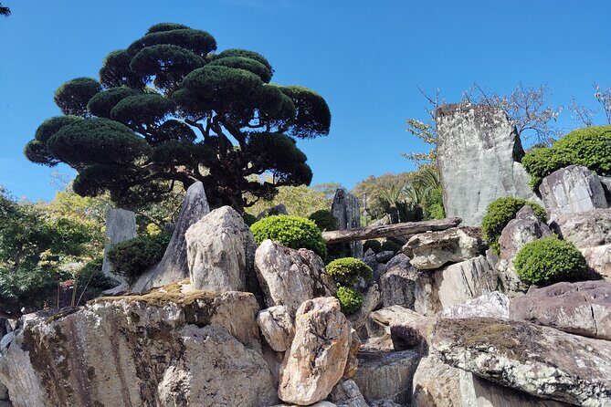 Wakayama: Sacred Serenity of Kokawa-dera Temple Tour - FAQs about the Wakayama Kokawa-dera Tour