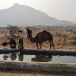 Walking Sightseeing Tour - The Shine Pushkar - What Makes This Tour Stand Out