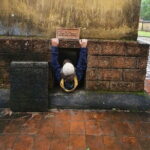 WALKING Through HISTORY at KY ANH TUNNELS & CHAM RUIN SANCTUARY - Who Will Love This Tour?