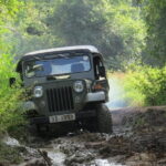 Wasgamuwa National Park Safari from Kandy - An In-Depth Review of the Safari Experience