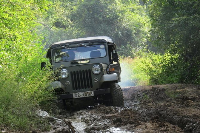 Wasgamuwa National Park Safari from Kandy - An In-Depth Review of the Safari Experience
