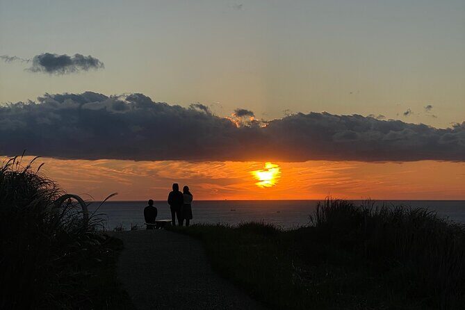 West Izu Sunset Private Tour - Who Will Love This Tour?