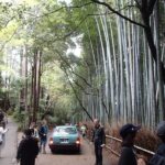 Western Kyoto Walking Tour with Local Guide - Who Should Consider This Tour?