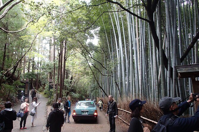 Western Kyoto Walking Tour with Local Guide - Who Should Consider This Tour?