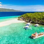 Whale Shark Encounter and Sumilon Sandbar with Kawasan Falls - Authentic Experiences and Practical Tips