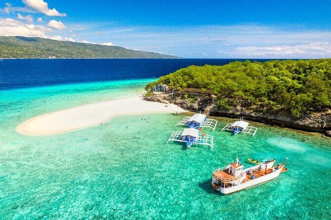 Whale Shark Encounter and Sumilon Sandbar with Kawasan Falls - Authentic Experiences and Practical Tips