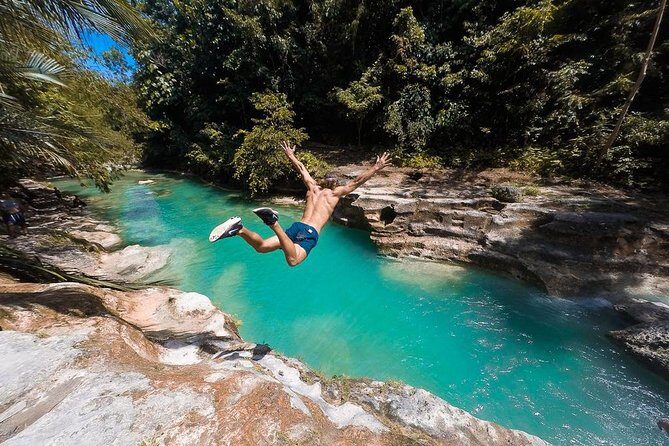 Whale Shark Watching & Tumalog Falls & Kawasan Falls - Who Should Consider This Tour?