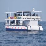 Whale Watching Galle with Pickup & Drop - Who Is This Tour Best For?