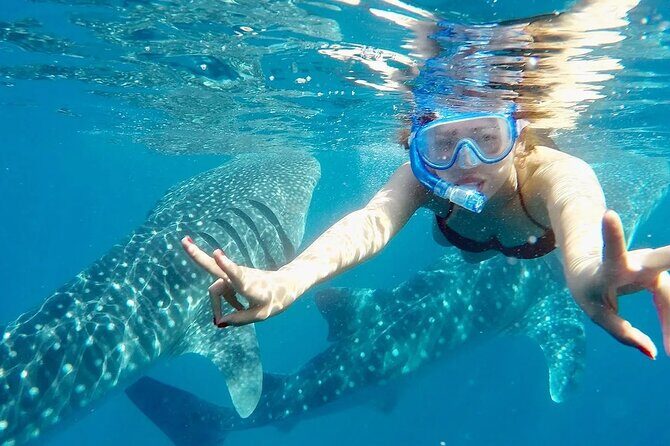 Whale Watching in Sumilon Island with Ocean View Resort and Lunch - Authentic Experiences & Tips from Travelers