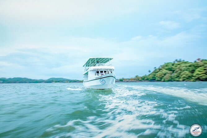 Whale Watching Mirissa in Sri Lanka with Pickup and Breakfast - An In-Depth Look at the Mirissa Whale Watching Tour