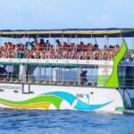 Whales and Dolphins Watching-Luxury Super Grade Cruiser(Hotel Pick up offered) - What to Expect During the Cruise