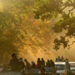 Wild Escape: 3 Days Ranthambore Safari Adventure from Delhi - What to Expect from the Experience