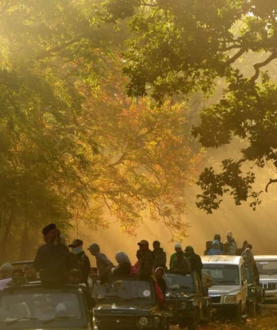 Wild Escape: 3 Days Ranthambore Safari Adventure from Delhi - What to Expect from the Experience