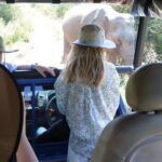 Wildlife Safari Yala National park - An In-Depth Look at the Wildlife Safari in Sri Lanka