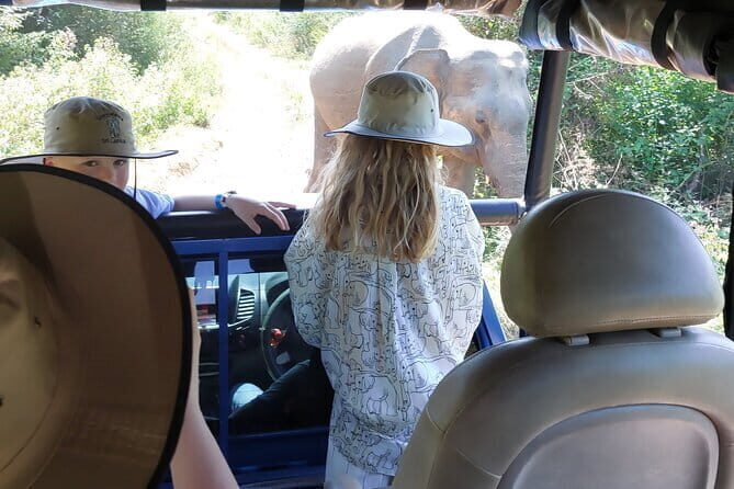 Wildlife Safari Yala National park - An In-Depth Look at the Wildlife Safari in Sri Lanka