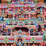 Wilpattu leopard safari and free jeep with guide included. - A Detailed Look at Wilpattu Safari: What to Expect