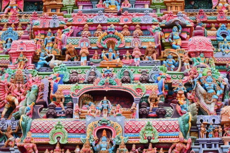 Wilpattu leopard safari and free jeep with guide included. - A Detailed Look at Wilpattu Safari: What to Expect