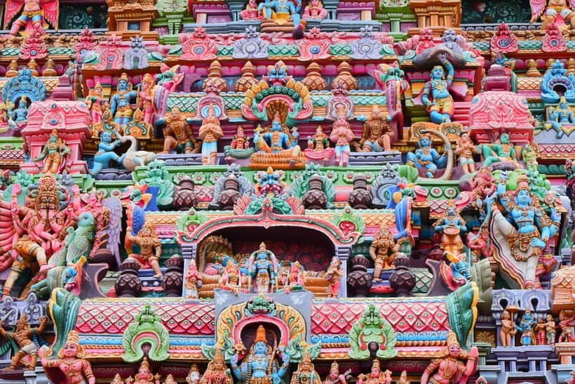 Wilpattu leopard safari and free jeep with guide included.